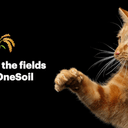 OneSoil