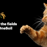 OneSoil